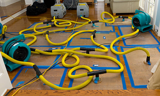 Professional Flood Damage Restoration technician working in Princeton, IN